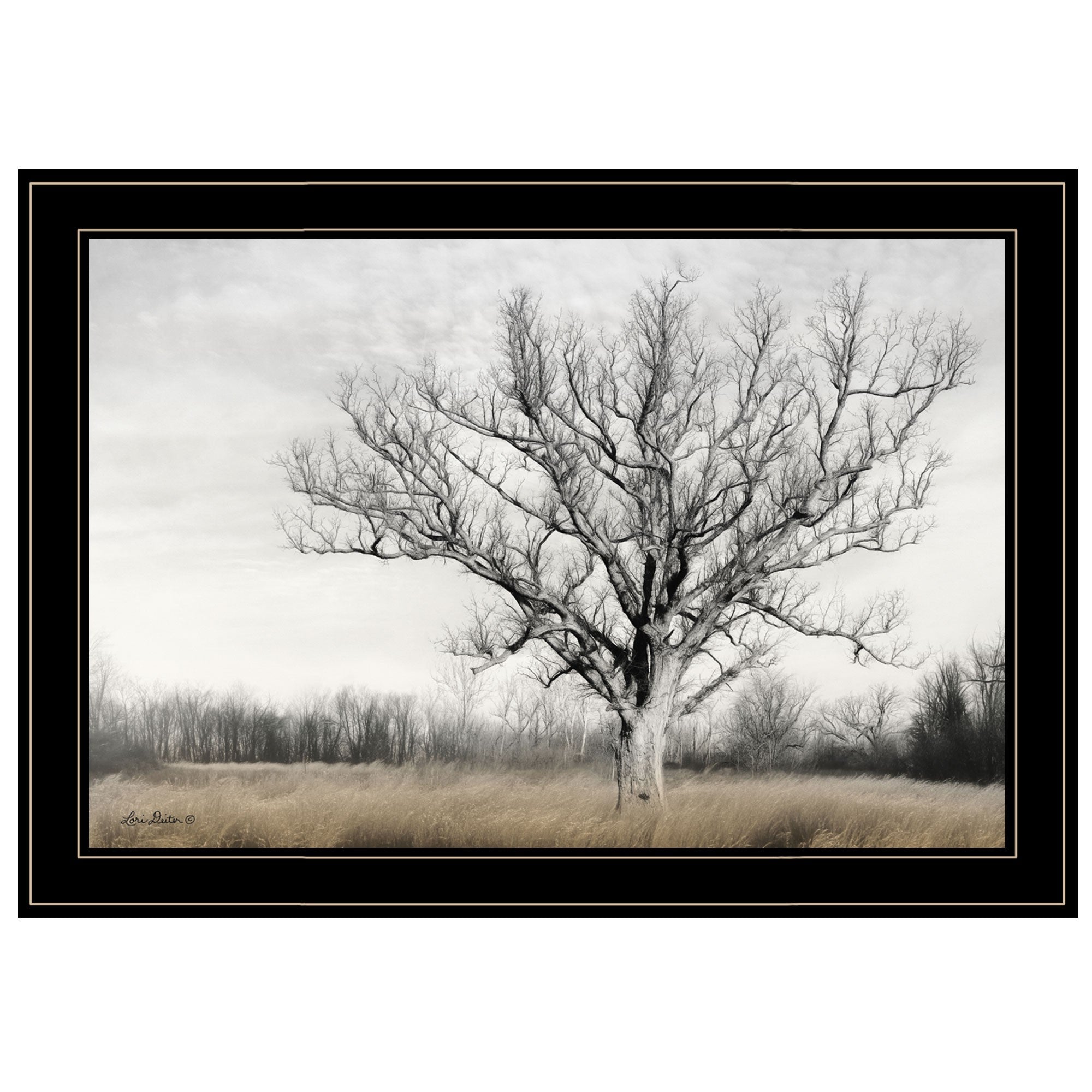 Earth & Sky 2 Black Framed Print Wall Art