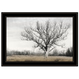 Earth & Sky 2 Black Framed Print Wall Art