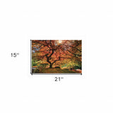 First Colors Of Fall I 1 White Framed Print Wall Art