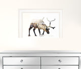 Arctic Reindeer 1 White Framed Print Wall Art