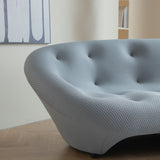 Modern Curved living room sofa ; gray