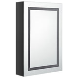 LED Bathroom Mirror Cabinet Shining Black 19.7"x5.1"x27.6"