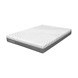 75L x 54W x 8H Memory Foam Mattress with Jacquard Fabric Cover